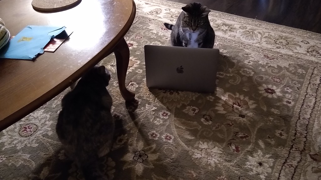 Trailer Editing